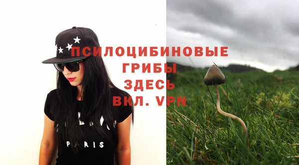 сатива Медногорск