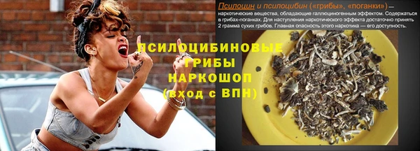 сатива Медногорск
