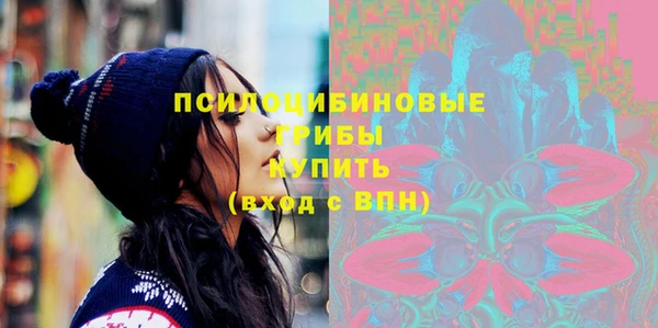 СК Медвежьегорск