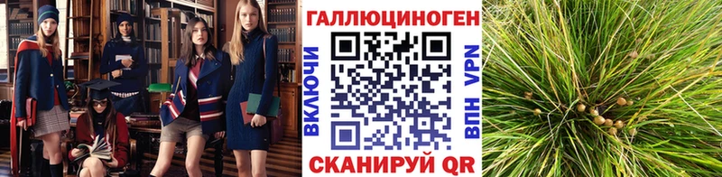 Купить  Красково  Псилоцибиновые грибы мицелий 